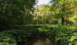 Standon Stream in evening light.jpg